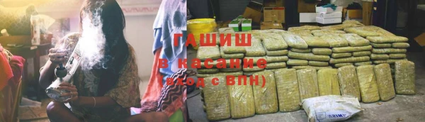 прущие грибы Нязепетровск