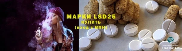 гашик Видное