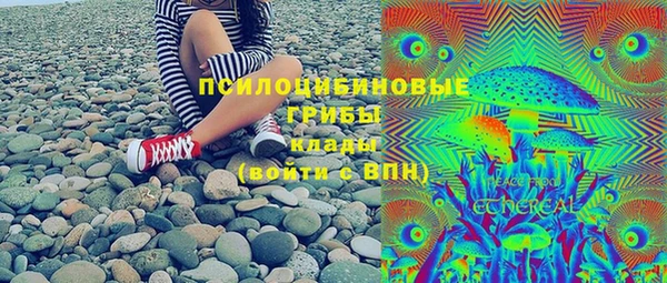 прущие грибы Нязепетровск