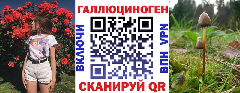 omg рабочий сайт  купить наркоту  Солигалич  Псилоцибиновые грибы MAGIC MUSHROOMS 